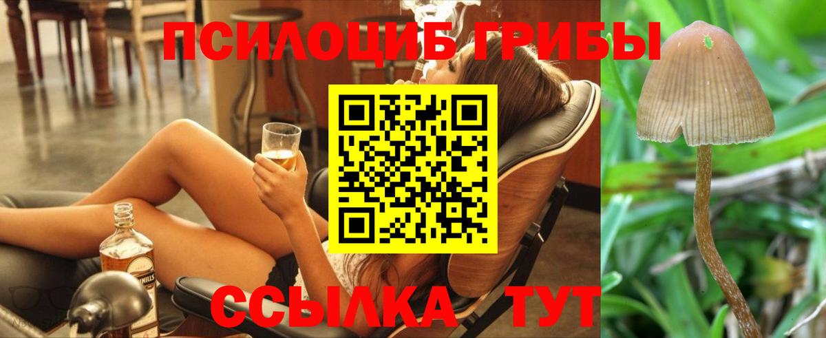 Галлюциногенные грибы MAGIC MUSHROOMS Мытищи